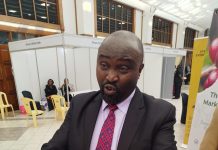 Kenya: USD 3.9 Million for Tissue Culture Coffee Seedlings