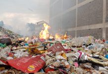 State of Global Air: The Alarming Toll of Pollution