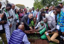 Kenyan Climate Action Summit Promises Tangible Results