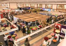 Kenya’s Flower Growers Turn to Climate-Smart Varieties
