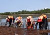 KEMFSED Project Boosts Seaweed Farming in Kenya