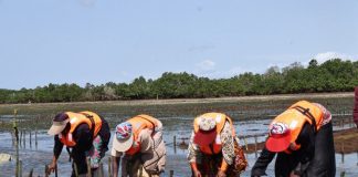 KEMFSED Project Boosts Seaweed Farming in Kenya