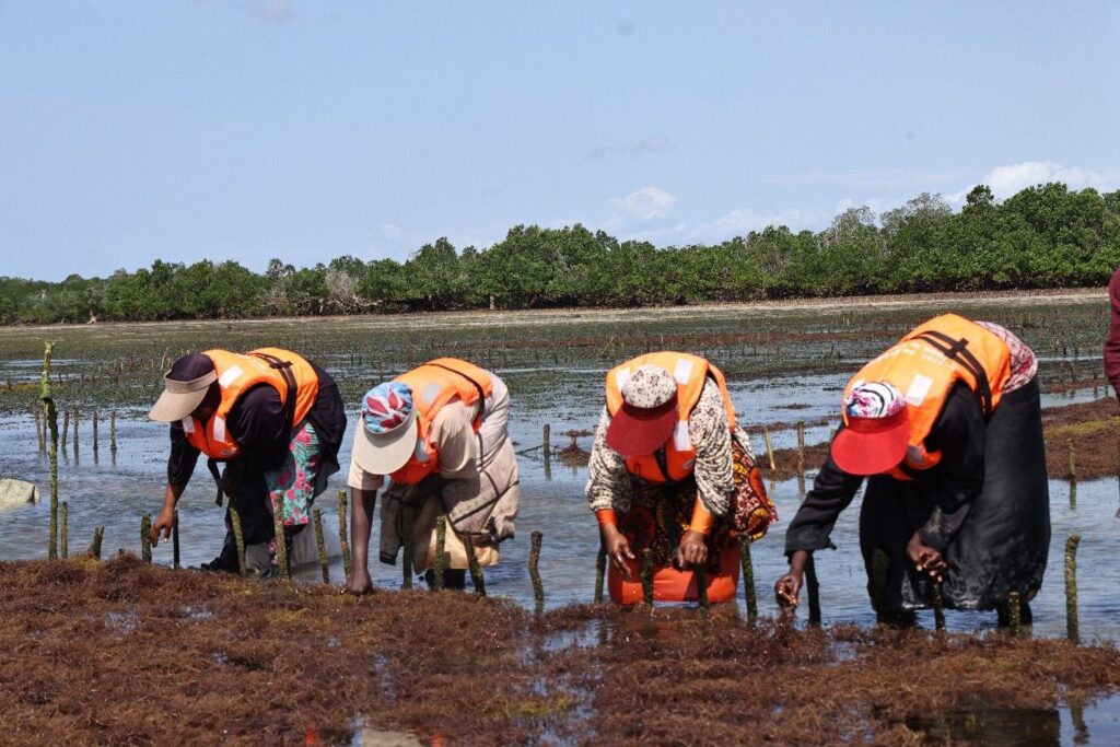Seaweed-empowers-women-1024x683
