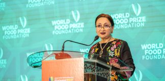 Ending Hunger: Scaling Innovation Hindering Africa’s Progress