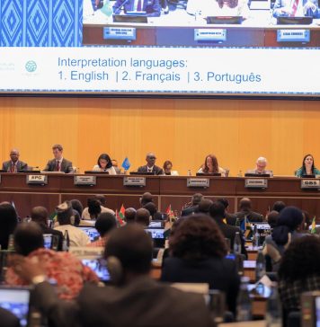 New Commitments to Strengthen Africa’s Health System