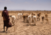 Prolonged Drought Reshaping Health in Northern Kenya